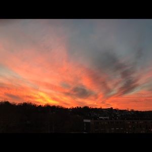 Meet your Posher, Flavia